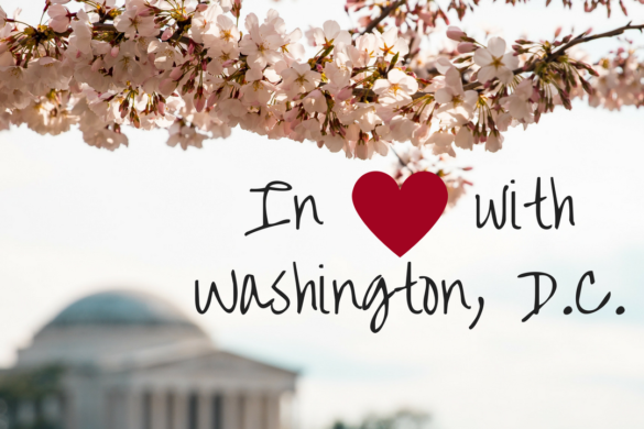In Love With America // Washington, D.C.